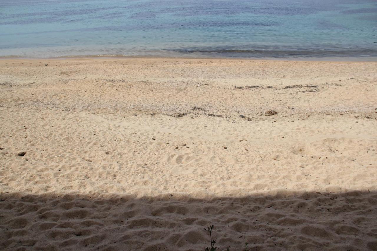 Studio Pieds Dans L'Eau 阿雅克肖 外观 照片